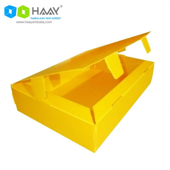 HAAY AMBALAJ 40x29x5 Cm Mini Boy Plastik Kutu (10 ADET)