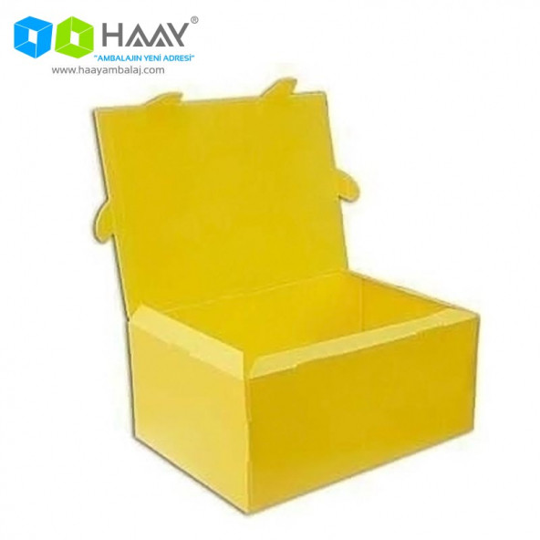 HAAY AMBALAJ 40x29x18 Cm Büyük Boy Plastik Kutu (10 ADET)