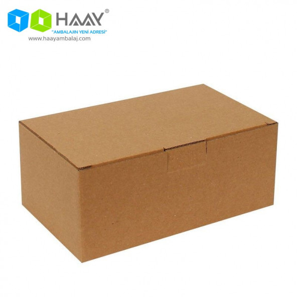 HAAY AMBALAJ 20x12x8cm Kraft E-ticaret Kargo Kutusu (25 Adet)
