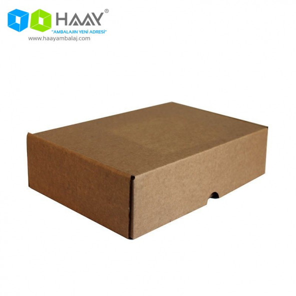 HAAY AMBALAJ 28x18x7cm Kraft Kilitli E-ticaret Kargo Kutusu (15 Adet)