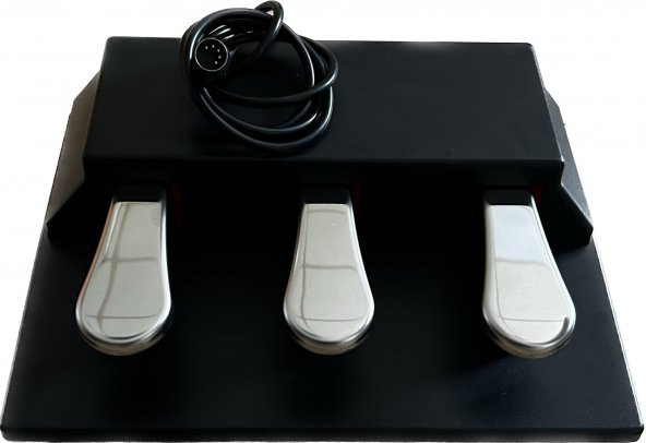 CREMONIA PEDAL BOX DİJİTAL PİYANO İÇİN PEDAL (KUTULU)