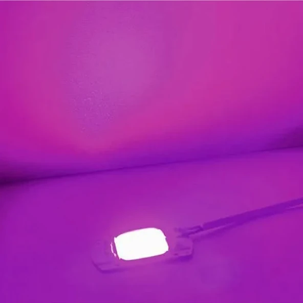 220V 50W Bitki Büyütme Ledi Klemensli  Tüm Işık Spektrumlu Fide - Resim 7