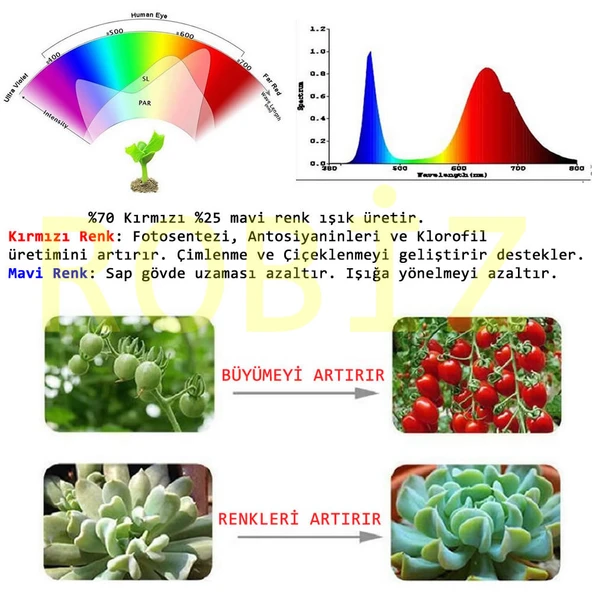 220V 50W Bitki Büyütme Ledi Klemensli  Tüm Işık Spektrumlu Fide - Resim 8