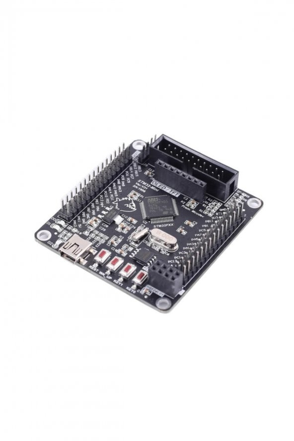 STM32F103RCT6 Gelistirme Kartı ARM STM32 32 Bit Arm Cortex M3 - 2