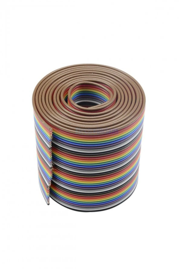 40 Pin Rainbow Ribbon IDC Kablo 1 Metre 10 Renk Dupont Kablo Flat - 3