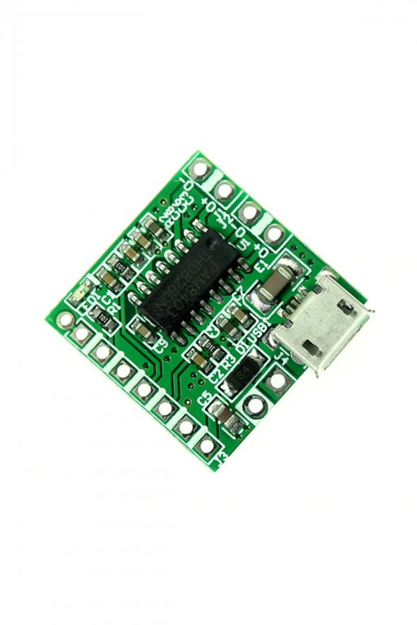 PAM8403 Mini Ses Yükseltici Class D 2x3w Amfi Kartı Micro Usb Beslemeli Stereo Dijital Amfilikatör - 4