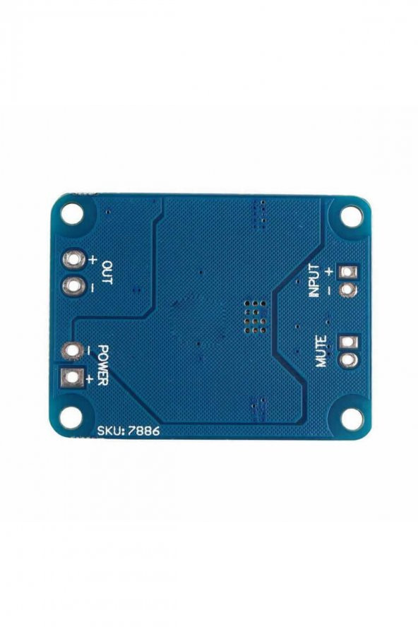 TPA3118 60W Mono Digital Ses Amfi Modül DC 12V-24V Tek Kanal Class D Amplifikatör Amfi Amplifier - 8