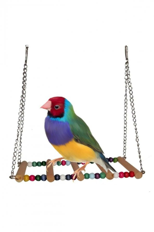 Petistera Zincir Askılı Köprülü Kuş Salıncağı ürün görseli