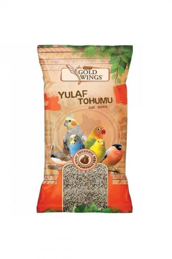 Gold Wings Yulaf Tohumu 300gr