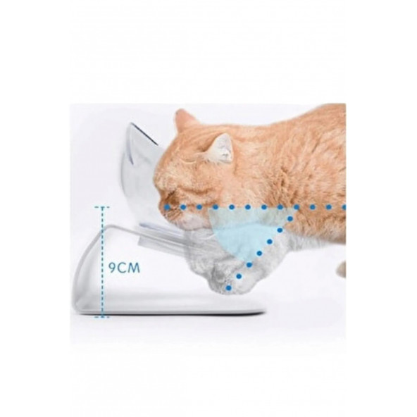 Tineke Standlı   Kedi Kafalı  Mama Kabı  Şeffaf 2 li - 4
