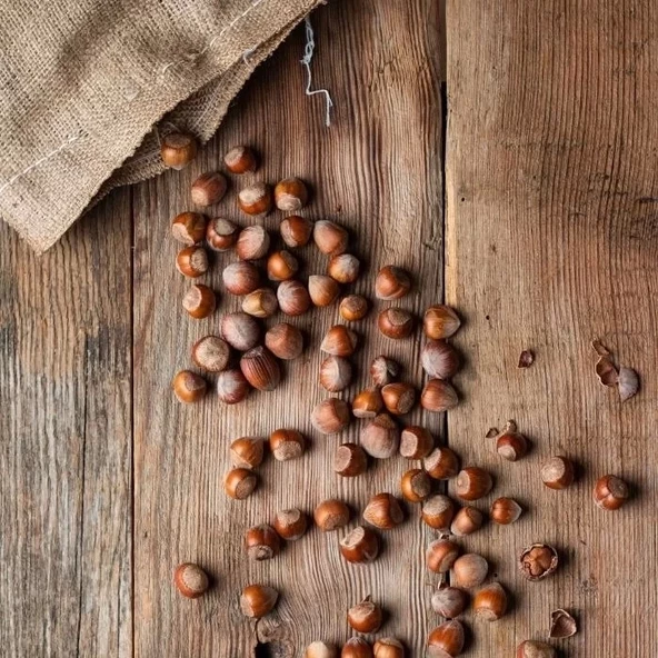Nutas Kabuklu Fındık – 1 kg Jüt Çuval - 3
