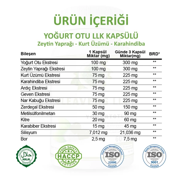 Gökçek Şifa Yoğurt Otu Llk Kapsül (CLEAVERS LLC CAPSULE) 60 Adet - Resim 3