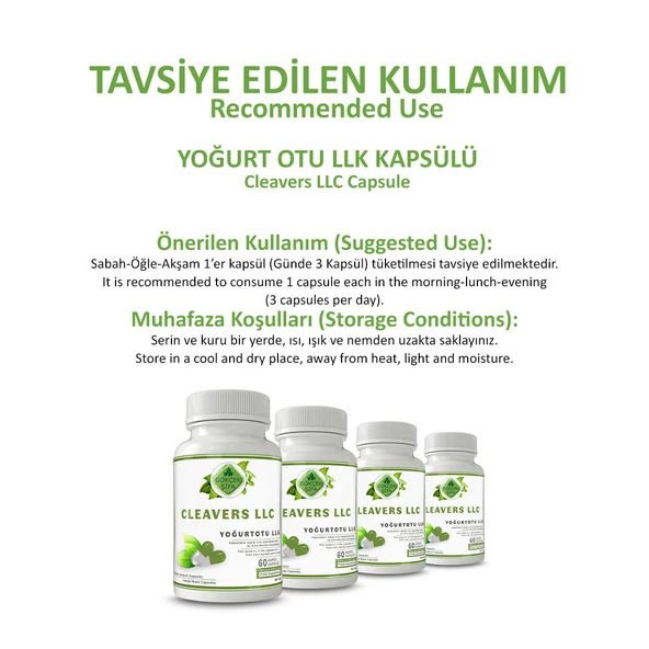 Gökçek Şifa Yoğurt Otu Llk Kapsül (CLEAVERS LLC CAPSULE) 60 Adet - Resim 4