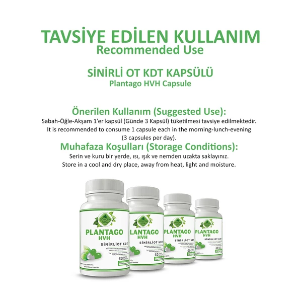 Sinirliot Kdt Kapsül (PLANTAGO HVH CAPSULE) 60 Adet - Resim 4