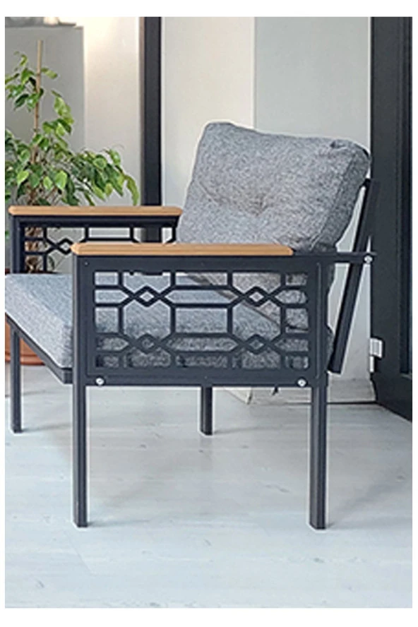 adımshops Adımshos tekli Lazer Balkon-Bahçe-Ofis-Kafe Çay Seti Koltuk Oturma Takımı-Oturma Grubu