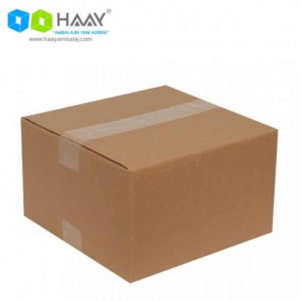 HAAY AMBALAJ 25x25x15cm Çift Oluklu Koli (10 Adet)