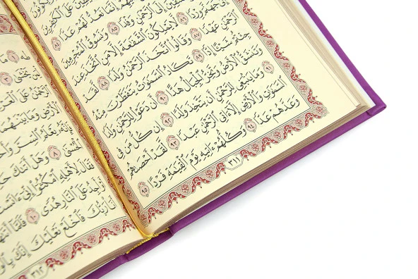 Termo Deri Ciltli - Medine Hatlı - Orta Boy - Kuranı Kerim - Fuşya - Resim 4