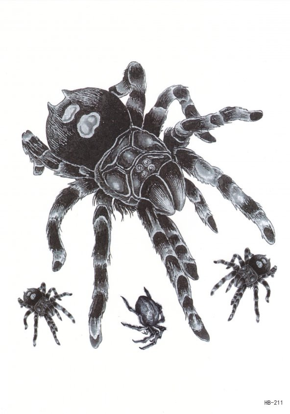 Tarantula Dövmesi Büyük Boy Geçici Tattoo