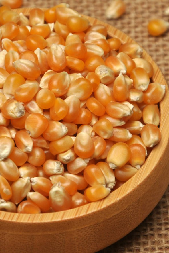 Popcorn Patlamış Mısır Cips  500 G - 2