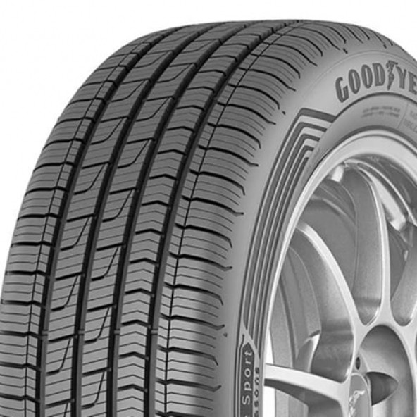 Goodyear 205/55 R16 94V XL Eagle Sport 4Seasons Lastik 2022 Üretim