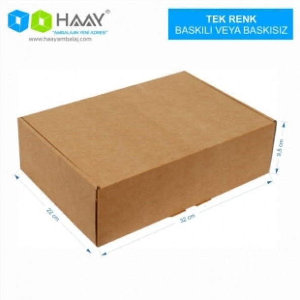 HAAY AMBALAJ 32x22x9,5 cm Kraft Kargo Kutusu (10 Adet) - 2