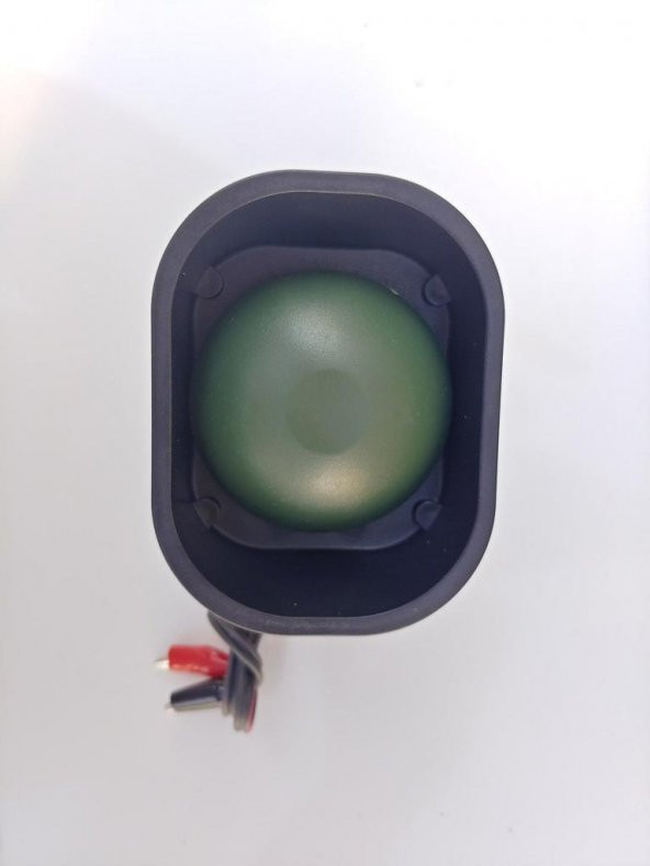 Tek Sesli Bıldırcın Teyp 35 Watt - 2