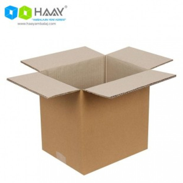 HAAY AMBALAJ 25x25x30cm Çift Oluklu Koli (10 Adet)