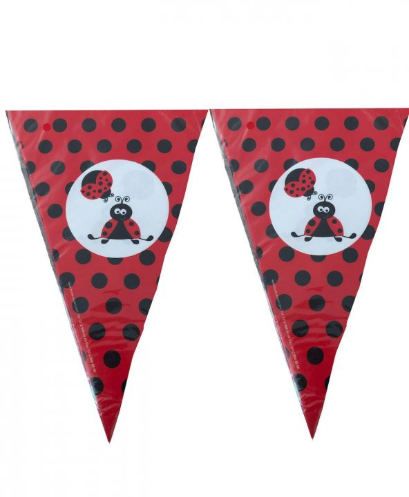 FLAMA UĞUR BÖCEKLİ 1