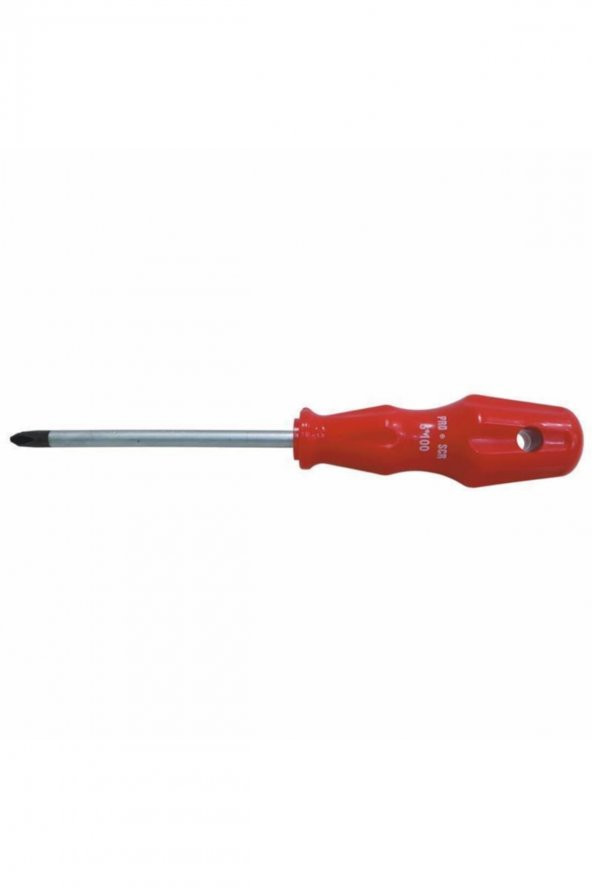 02555 Yıldız Uçlu Tornavida 3x80 Mm