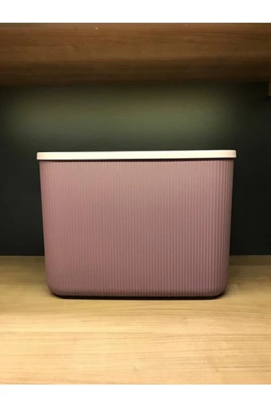 21 Lt Storage Mor Çok Amaçlı Dolap Içi Düzenleyici Kutu - Oyuncak Ve Çamaşır Sepeti - Resim 4