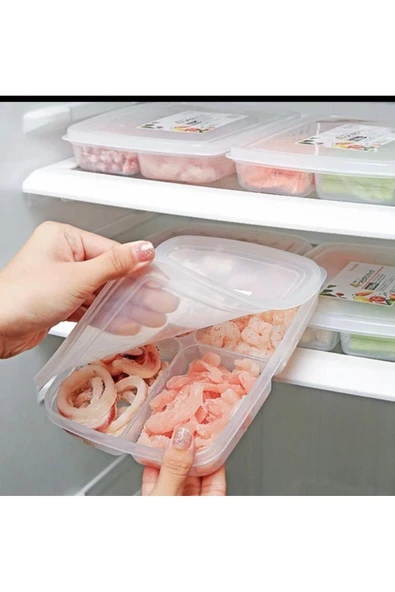 4 Adet Dondurulmuş 4 Bölmeli Öğünlük Et Ve Sebze Saklama Kabı - Buzluk Kıyma Organizeri - Resim 6