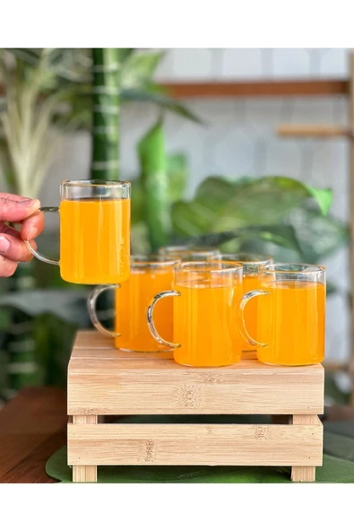 6 Adet Borosilikat Isıya Dayanıklı Termısıl Cam Kupa Bardak 200 ml - Resim 4