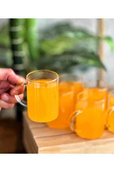 6 Adet Borosilikat Isıya Dayanıklı Termısıl Cam Kupa Bardak 200 ml - Resim 3