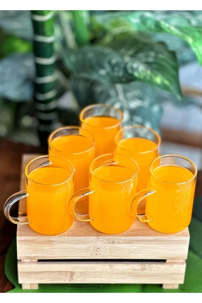 6 Adet Borosilikat Isıya Dayanıklı Termısıl Cam Kupa Bardak 200 ml - Resim 2