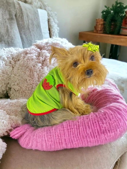 Pink Strawberry Atlet Köpek Kıyafeti  Köpek Elbisesi ürün görseli 1