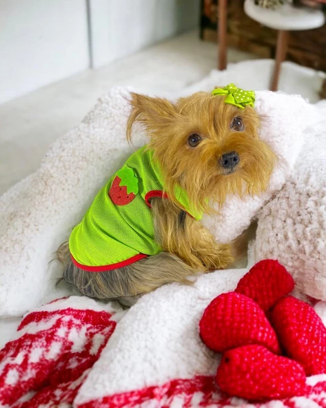 Pink Strawberry Atlet Köpek Kıyafeti  Köpek Elbisesi - Resim 8
