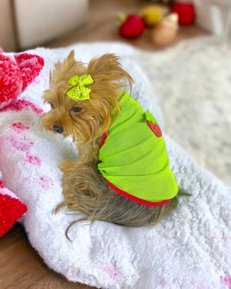 Pink Strawberry Atlet Köpek Kıyafeti  Köpek Elbisesi - Resim 2