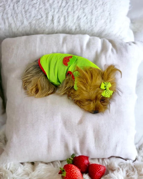 Pink Strawberry Atlet Köpek Kıyafeti  Köpek Elbisesi - Resim 5