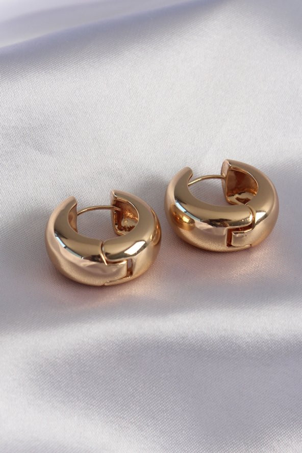 316L Çelik Gold Renk Halka Model Kadın Küpe ürün görseli