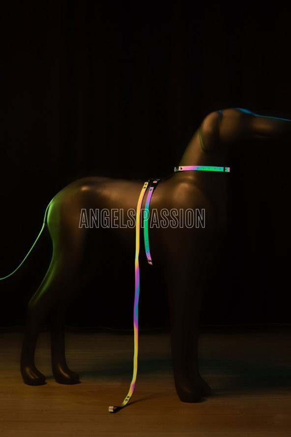 Lisinya41 Karanlıkta Renkli Parlayan Şık Köpek Tasma, Özel Tasarım Reflektörlü Köpek Tasması - Ürün Rengi:Rainbow Reflektör