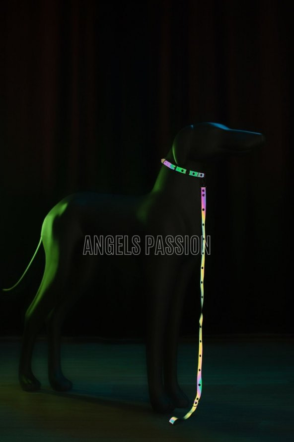 Lisinya41 Karanlıkta Renkli Yansıma Yapan Reflektörlü Köpek Tasması - Ürün Rengi:Rainbow Reflektör