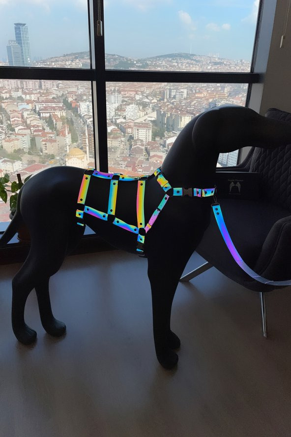 Lisinya41 Ayarlanabilir, Vücudu Saran, Güzel Gözüken Özel Tasarım Reflektörlü Köpek Harness - Ürün Rengi:Rainbow Reflektör