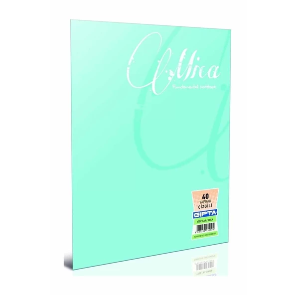 GIPTA CBOOK TEL DİKİŞ PP KAPAK DEFTER (A5)-40 yaprak ( Kareli )