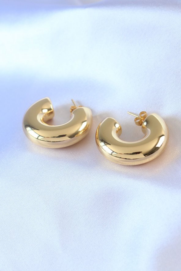 316L Çelik Gold Renk Kadın Küpe ürün görseli