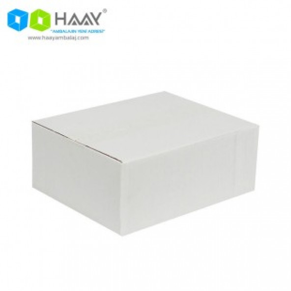 HAAY AMBALAJ 25x20x10cm Tek Oluklu Koli-beyaz (25ADET)