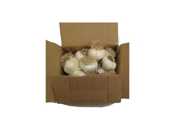 TAŞKÖPRÜ SARIMSAĞI 1 KG ORTA BOY - 2