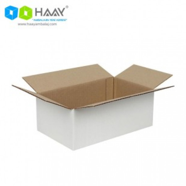 HAAY AMBALAJ 25x15x10 cm Tek Oluklu Beyaz Koli (50 Adet)