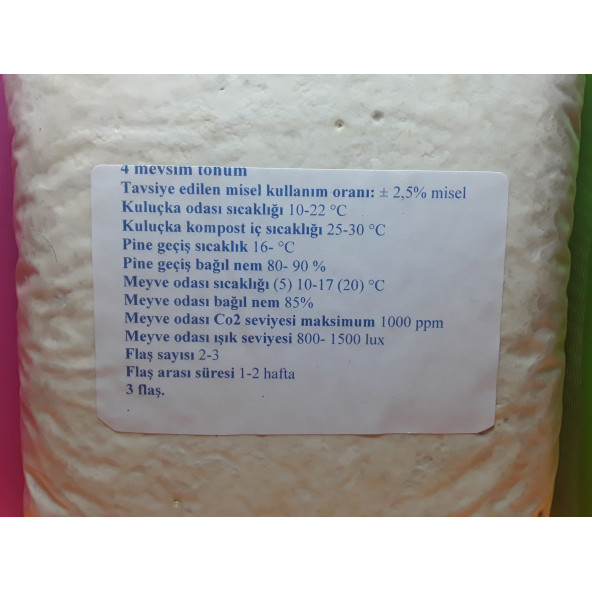 İstiridye mantar tohumu - Resim 3