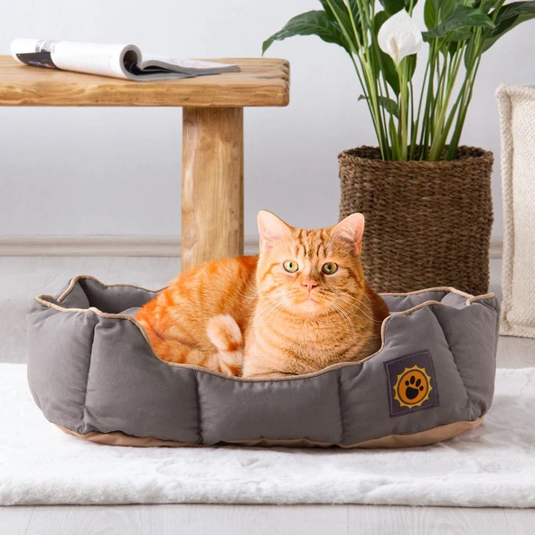 Pet Yatağı Maksim Duck Kumaş 40x60 Sütlü Kahve - 4