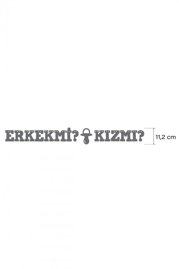 Erkek mi ? Kız mı ? Yazılı Banner , Cinsiyet Partisi, Simli Eva Banner - 2